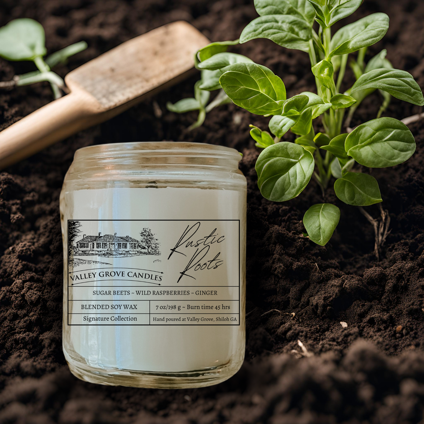 Rustic Roots